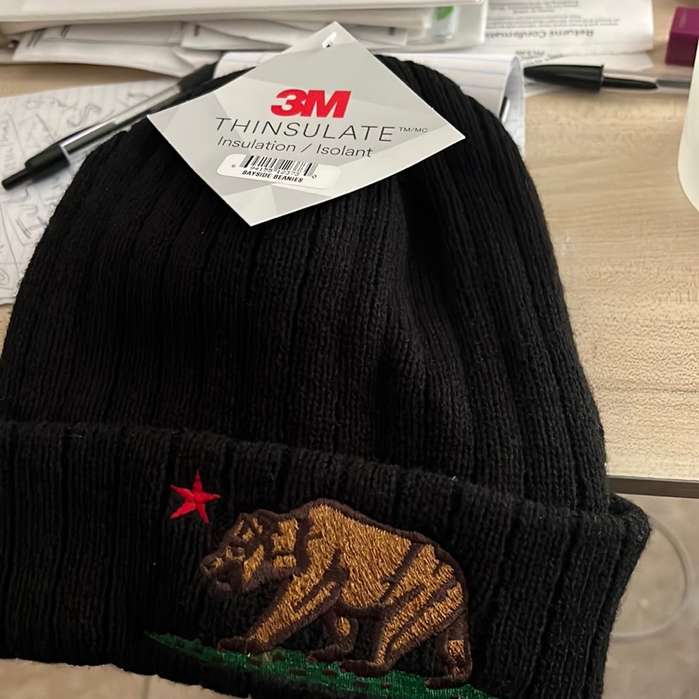 3m THINSULATE BEANIE